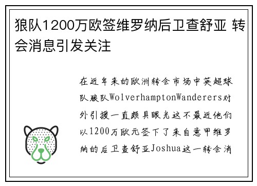 狼队1200万欧签维罗纳后卫查舒亚 转会消息引发关注